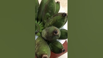 #Shorts chuối | dung an suong | dung an suong travel