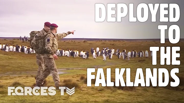 Guardians Of The South Atlantic: UK Forces In The Falklands | Forces TV