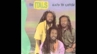 Never Say Never - The Itals
