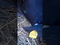 الدواء فيه سم قاتل ابقار الجمعية الوطني بالوبارية الجديدة موبؤة الدواء فيه سم قاتل ابقار الجمعية الوطني بالوبارية الجديدة موبؤة