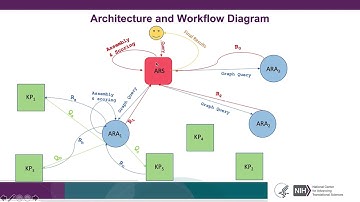 Biomedical Data Translator Architecture and Workflow