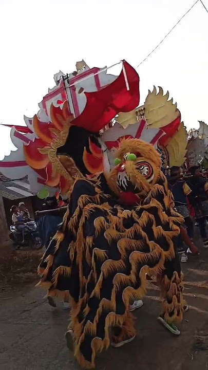 ada 40 singa depok nih paling terbanyak 😱😱 #dangdut #singadangdut #singadepok #adatindramayu