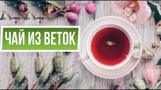 Вкусный чай из веток  ✿ Польза чая из плодовых веточек