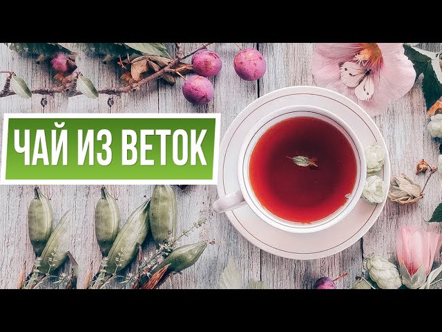 Вкусный чай из веток ✿ Польза чая из плодовых веточек