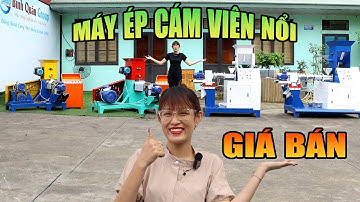 Tư Vấn, Cập Nhập Giá Bán Tất Cả Các Dòng Máy Ép Cám Viên Nổi Giá Rẻ Hiện Nay