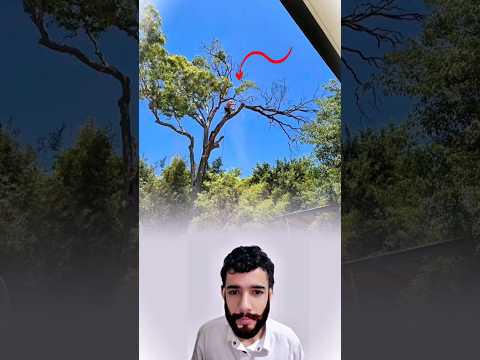 سقطت الأغصان عليه ولكن نجاة الله كانت أسرع من الخطر 