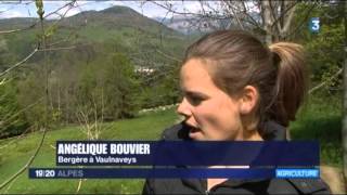 JT 19/20 Alpes de lundi 25 avril