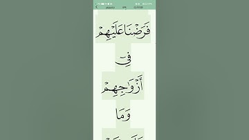 033 سورة الأحزاب 49/50 مختصراً