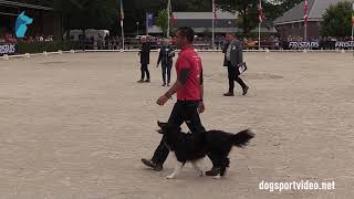 Finals - Daniel Diaz Sanchez Welshirverdee Thats My Boy Border Collie - Spain