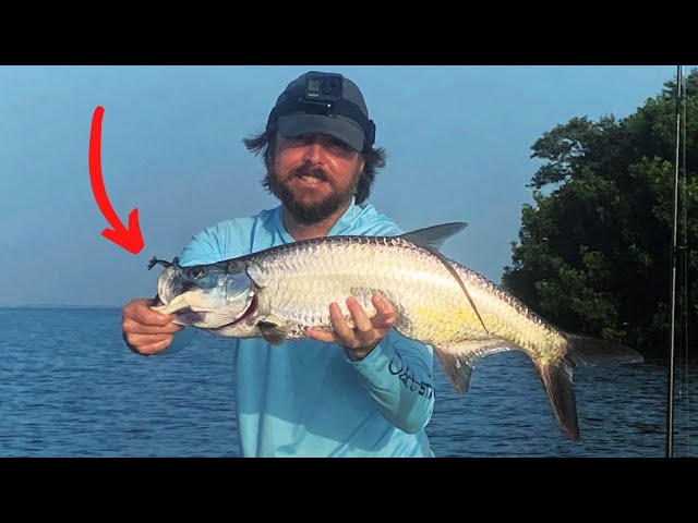 Is THIS The BEST Artificial Lure For Juvenile Tarpon? 