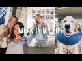 Week In My Life: Home Updates, Girl Talk with Luisa + Brody’s Surgery!