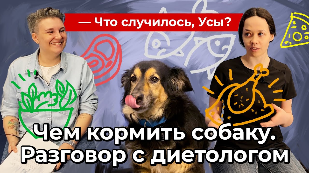 причины копрофагии у собак причины копрофагии у собак