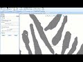 BobART Raster Vectorirzation