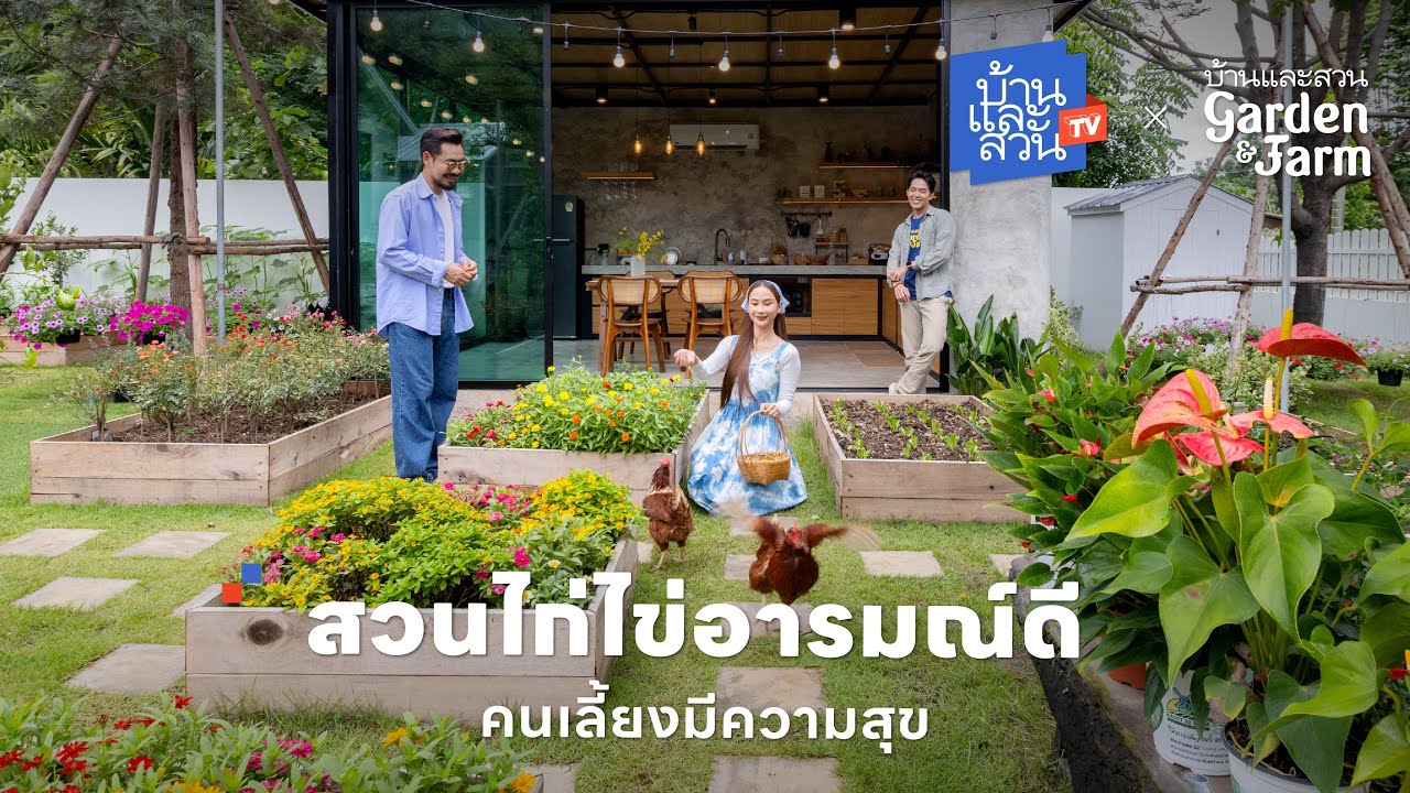 สวนไก่ไข่อารมณ์ดี คนเลี้ยงมีความสุข | บ้านและสวนทีวี