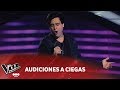 Federico Gómez - "When I was your man" - Bruno Mars - Audiciones a Ciegas - La Voz Argentina 2018