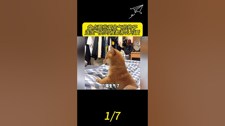 盘点那些爱生气的狗子，连生气的时候都那么可爱#狗狗 #狗狗成精了 #动物的迷惑行为 #养狗的乐趣 #萌宠 1 #看一遍笑一遍 #搞笑 #人類迷惑行為