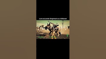 Lore accurate dogmeat in the fallout universe as a follower  #fallout #veo3 #fallout4 #fallout3