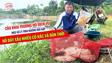 Câu khai trương hồ dịch vụ - Mẹo xử lý tình huống khi gặp hồ đáy xấu nhiều cỏ rác và bùn thối