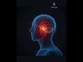 AI for Beginners | How Artificial Intelligence Is Used in Daily Life #arcoirislogics #ytshorts #bus