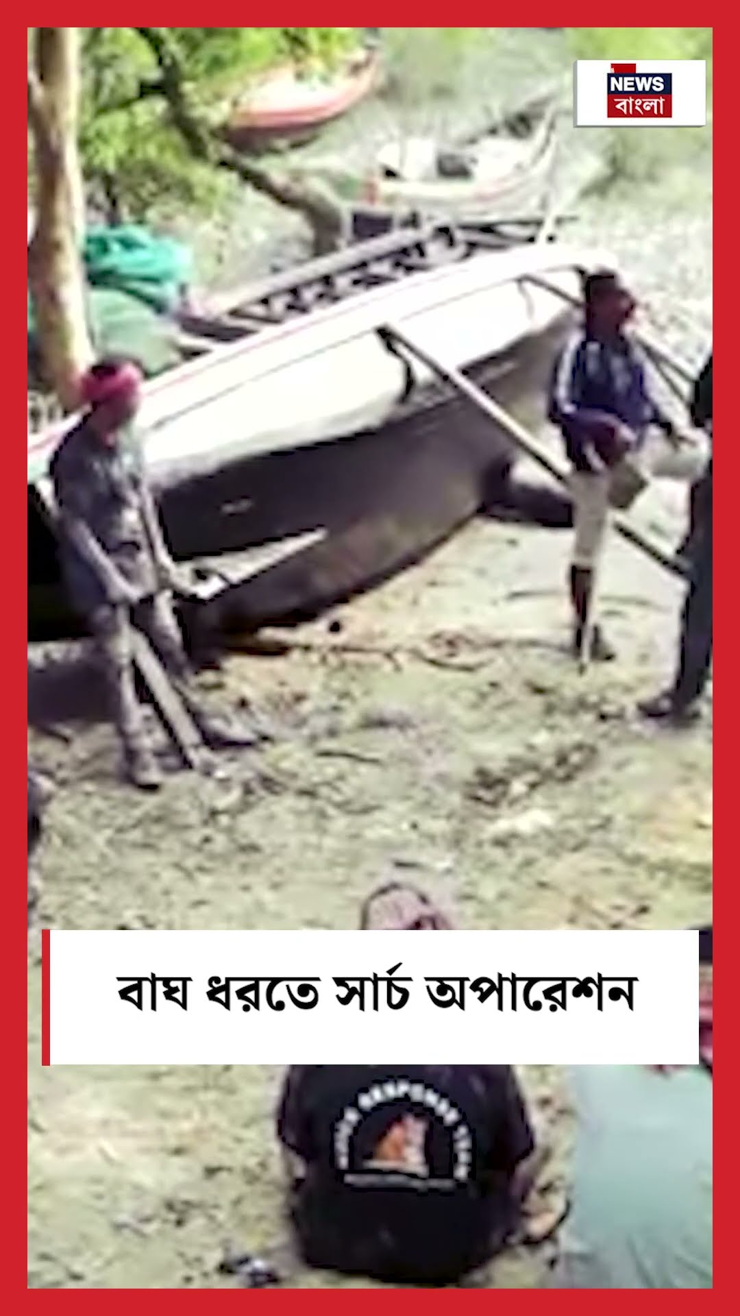 Kultali তে বাঘ ধরতে সার্চ অপারেশন #shorts