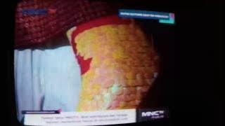 Putri Duyung 100 kebaikan versi ujian