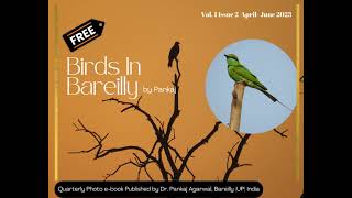 Birds in Bareilly  April to June 2023  birdsphotography birdsindia wildlifeindia