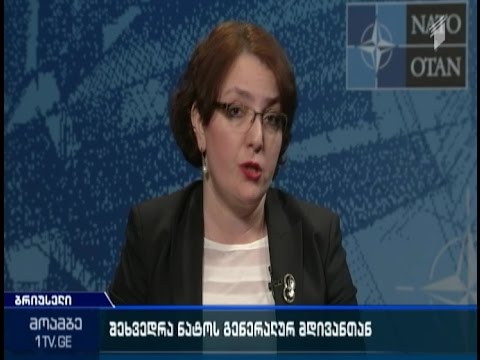 რა თემები განიხილეს ხიდაშელმა და სტოლტენბერგმა