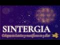 SINTERGIA TOTAL — Colapsa Tu Lattice y Manifiesta en 3 Días | Grinberg