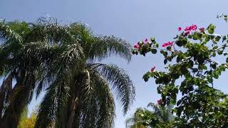 VID 20220105 112113