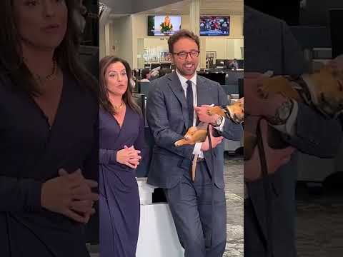 Video: Pet Scoop: Foto 