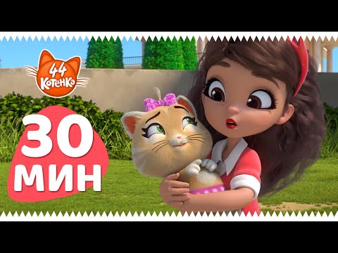 Видео: 44 Котёнка | 30 МИНУТ с Изотту