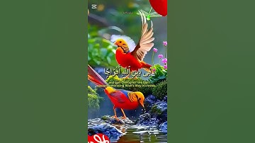 #سورة_النصر #المصحف #اكسبلور #القزابري #duet #تيك_توك #دويتو #حالات_واتس #الرحمن #راحة_نفسية