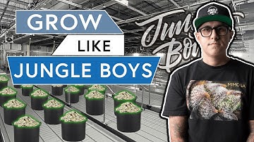 How to Grow Like The Jungle Boys [Athena Nutrients Review]