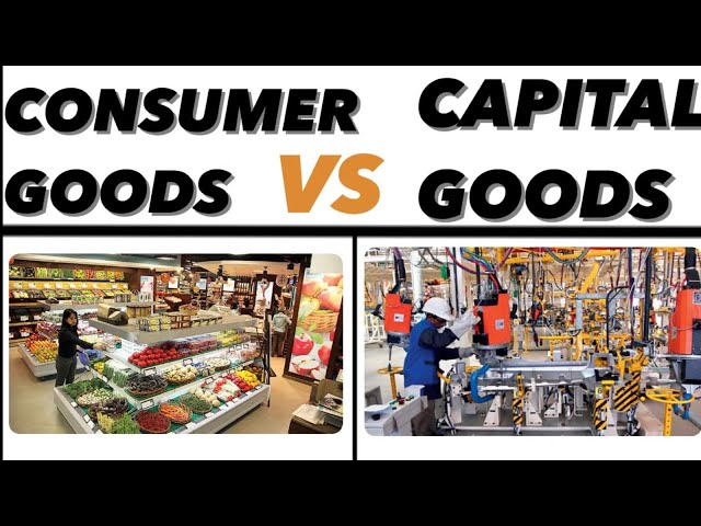 Consumer goods and capital goods, final goods, industrial goods, producer  goods, Indian economy