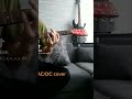 ac/dc back in black cover #shorts кавер на гитаре