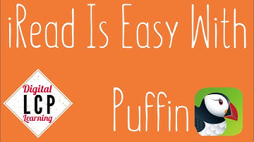 iRead Flash Games Work On The Puffin Browser