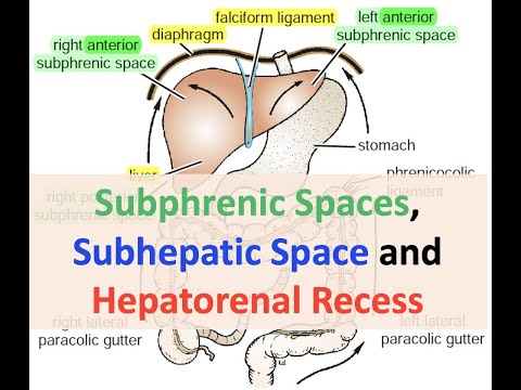 Video: Wat is rechts subdiafragmatisch?
