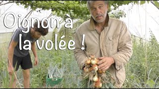 Planter les oignons à la volée, avec Laurent Welsch