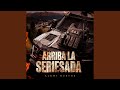 Arriba la Seriesada