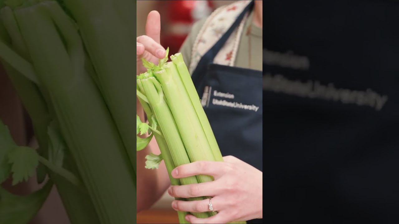 How To Tell If Celery Is Fresh