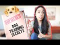 5 Secrets Dog Trainers Won’t Tell You for FREE 🤫