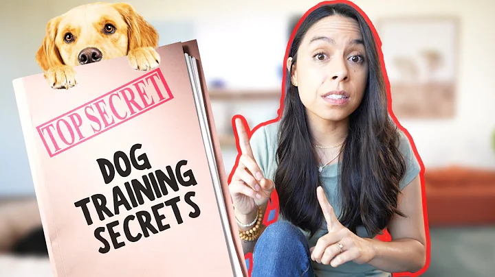 5 Secrets Dog Trainers Wont Tell You for FREE