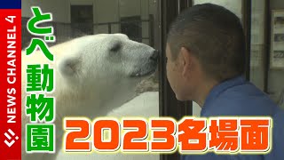 赤ちゃん誕生や涙のお別れに…飼育員も驚きの鳴きマネ！？今年も魅力満載だった動物たち＜NEWS CH.4＞