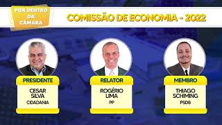 Comissão de Economia - 2022