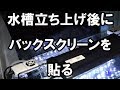 【アクアリウム】バックスクリーンを水槽立ち上げ後に貼るよ♪