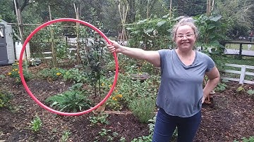 HOOP GRIP SWITCH TRANSITIONS FOR BEGINNERS Hula Hoop Tutorial Hoopdance101