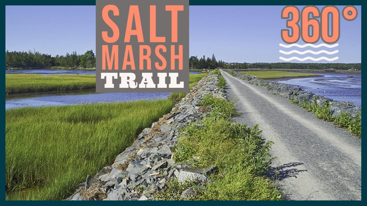 (4k) Virtual, 360° Ride: The Salt Marsh Trail - Cole Harbour, NS