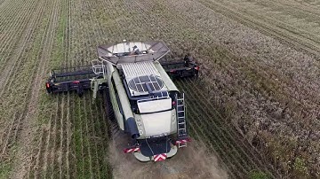 MacDon FD1 FlexDraper in Orgnanic Wheat