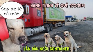Hành trình về quê sau chuyến đi xuyên Việt  Chắc chỉ có gđ Củ Cải mới đi Container như này