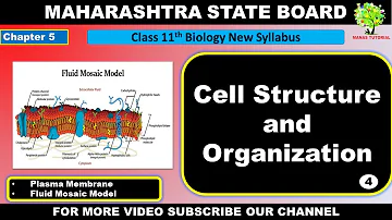 Cell structure and Organization Class 11th Part 3 I Fluid mosaic model I Plasma Membrane